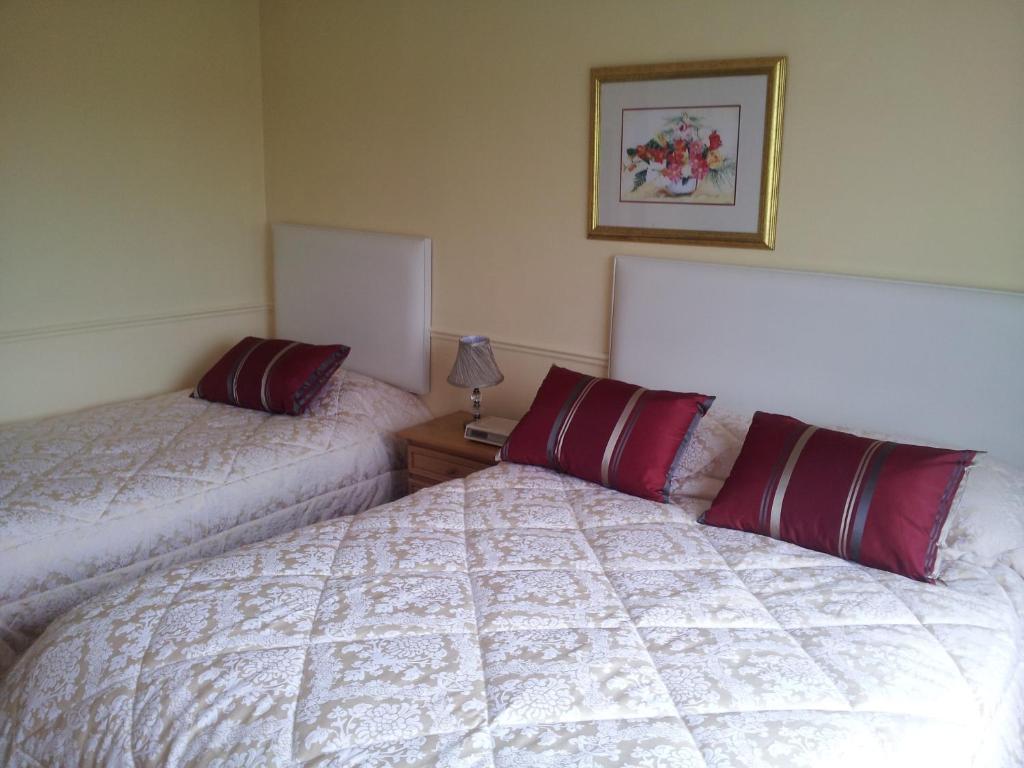 Tir Na Nog B&B Кашел Экстерьер фото